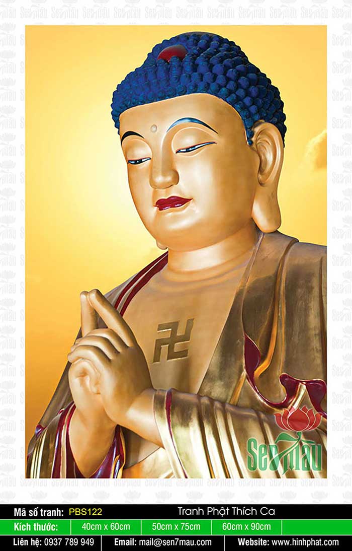 Đức Phật Thích Ca Đẹp PBS122