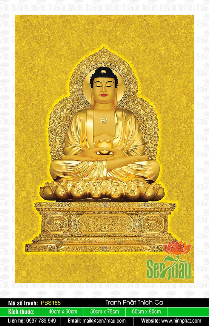 Đức Phật Thích Ca Đẹp PBS185