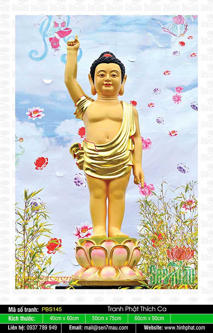 Đức Phật Thích Ca Mâu Ni Đẹp PBS145