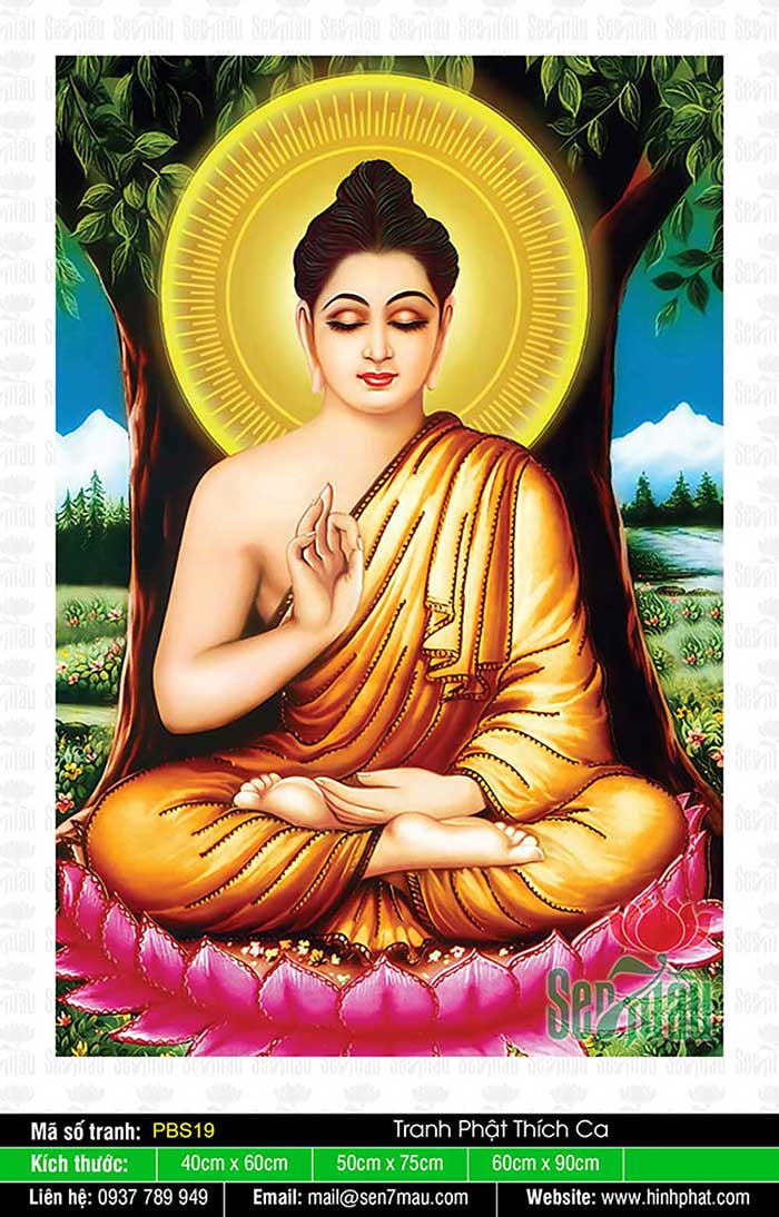 30 Hình Ảnh Phật Thích Ca Mâu Ni Đẹp Nhất Điện Thoại PC