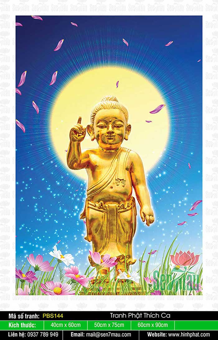 Đức Phật Thích Ca Mâu Ni PBS144