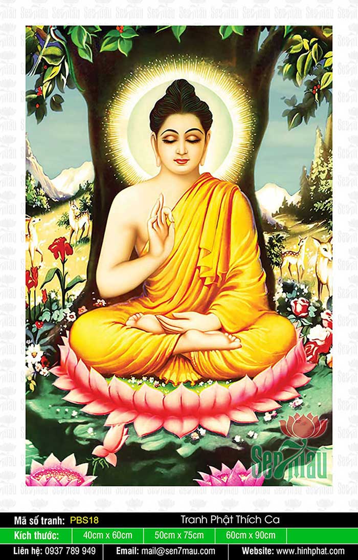 Đức Phật Thích Ca Mâu Ni - PBS18