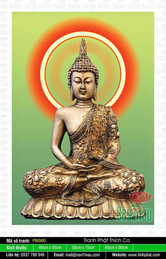 Đức Phật Thích Ca Mâu Ni - PBS60