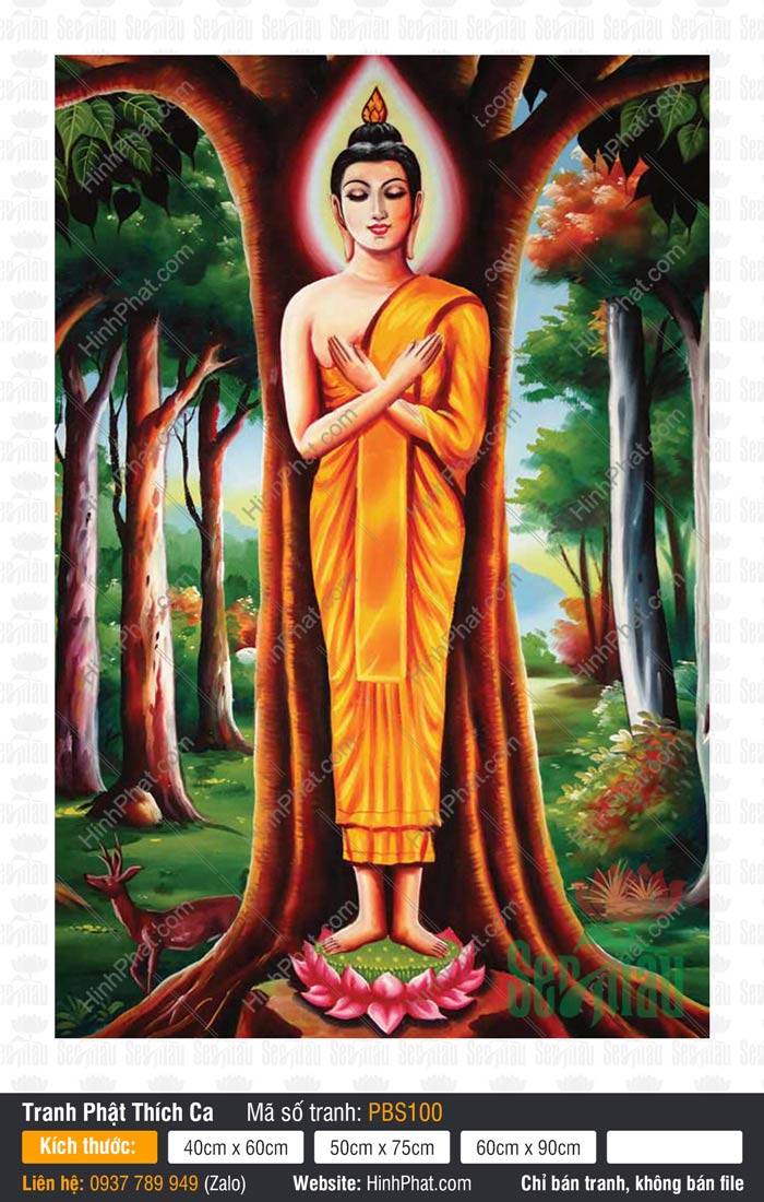 Đức Phật Thích Ca PBS100 Đức Phật Thích Ca PBS100 Ngài đứng trên đài sen hồng chéo tay trước ngực dưới gốc Bồ Đề