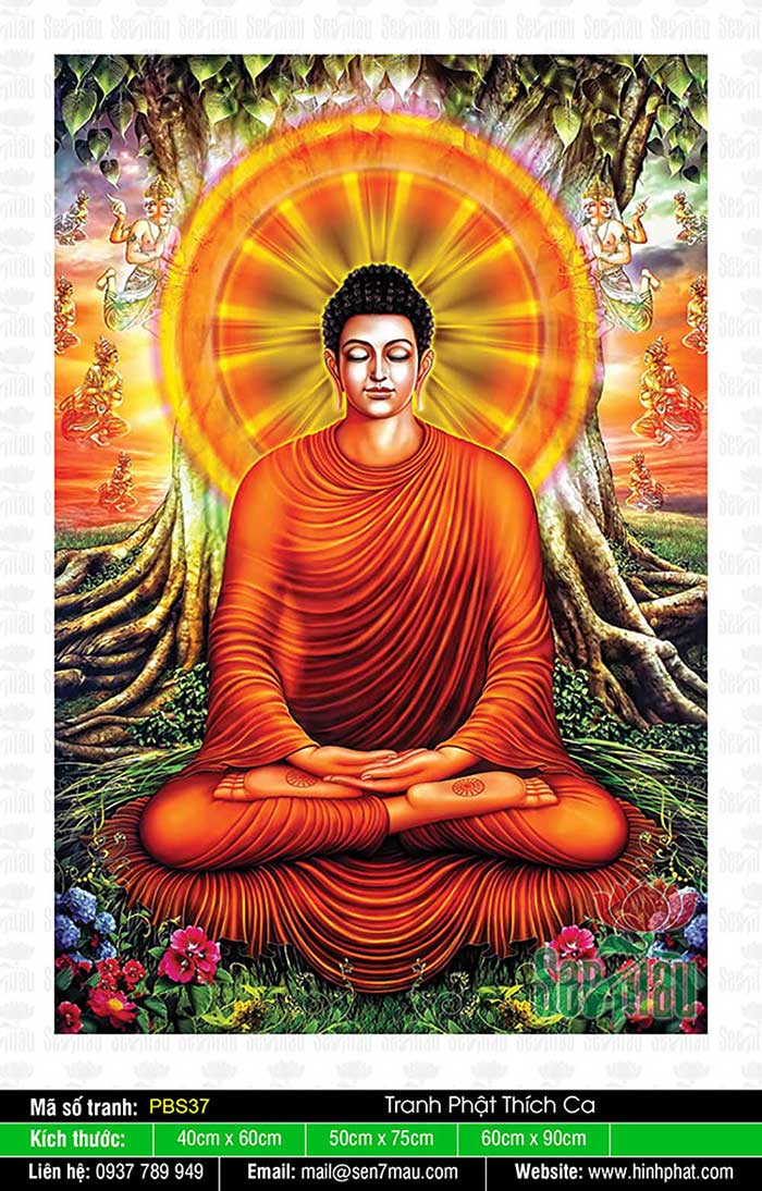 Đức Phật Thích Ca - PBS37
