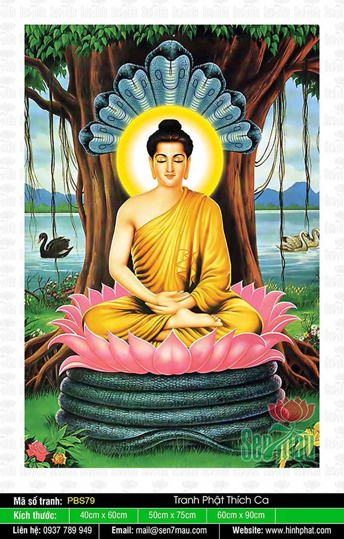 Đức Phật Thích Ca PBS79