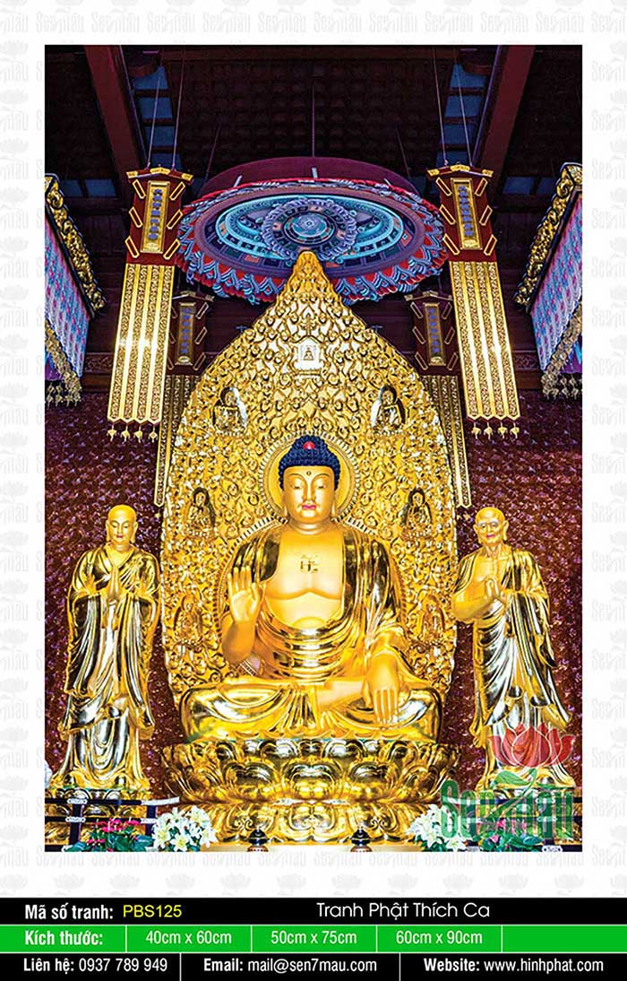 Hình Ảnh Phật Thích Ca PBS125