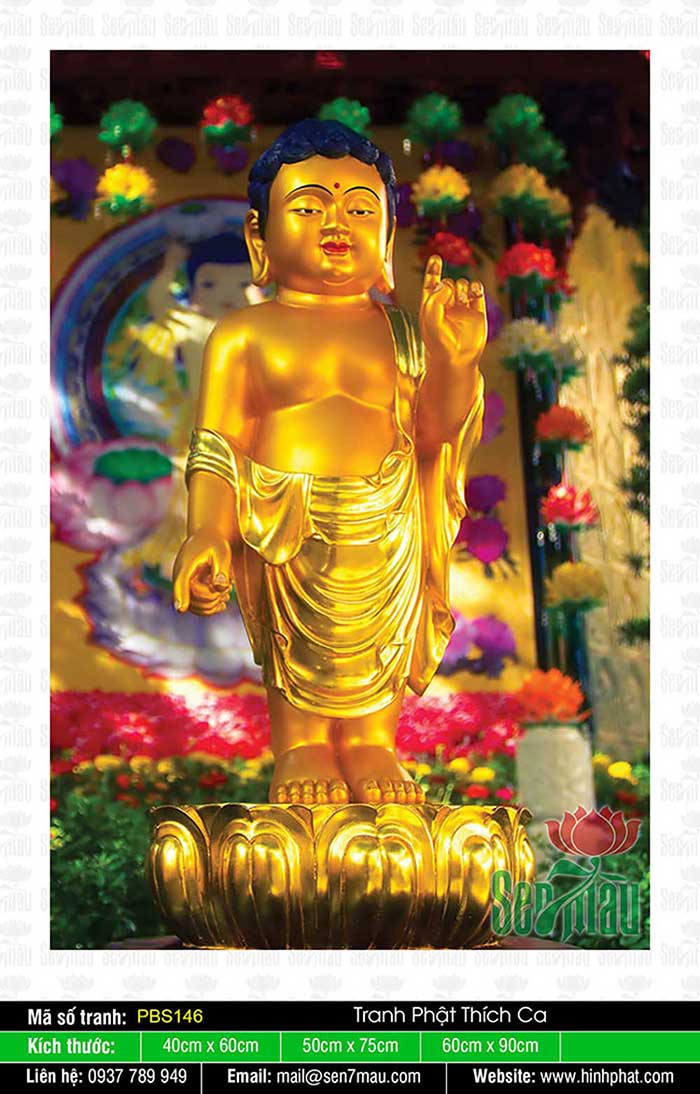 Hình Ảnh Phật Thích Ca PBS146