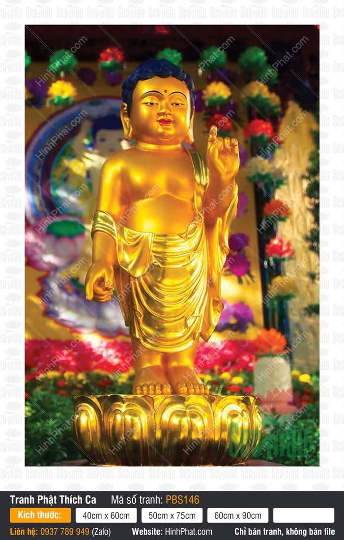 Hình Ảnh Phật Thích Ca PBS146 Hình Ảnh Phật Thích Ca PBS146 tôn tượng Thái tử sơ sinh đứng trên đài sen vàng giữa muôn hoa rực rỡ