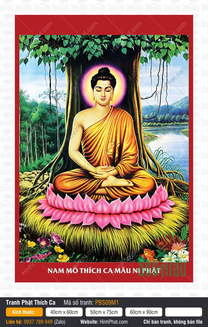 Hình Phật Thích Ca Đẹp PBS09M1 Hình Phật Thích Ca Đẹp PBS09M1 ngự trên tòa sen hồng dưới gốc bồ đề