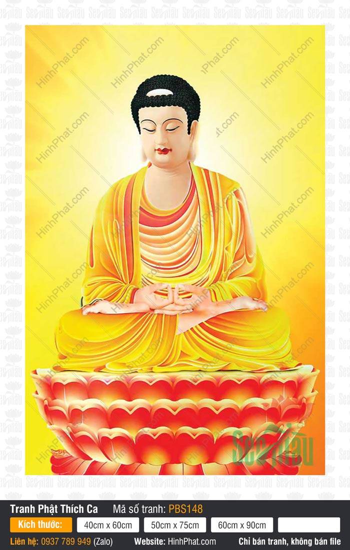 Hình Phật Thích Ca Đẹp PBS148 Hình Phật Thích Ca Đẹp PBS148 tọa thiền định tĩnh trên đài sen đỏ rực rỡ giữa nền vàng