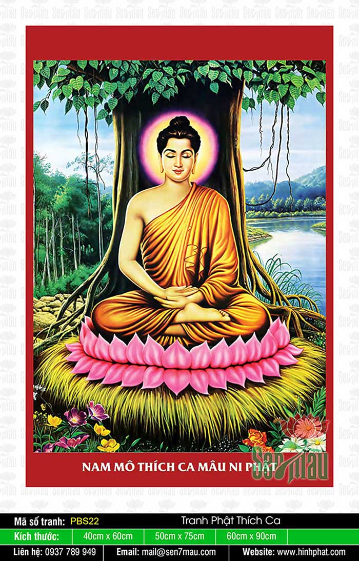Hình Phật Thích Ca Đẹp - PBS22