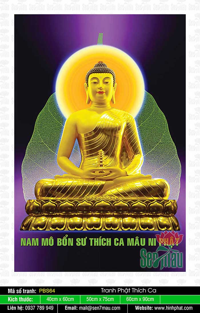 Hình Phật Thích Ca Đẹp - PBS64