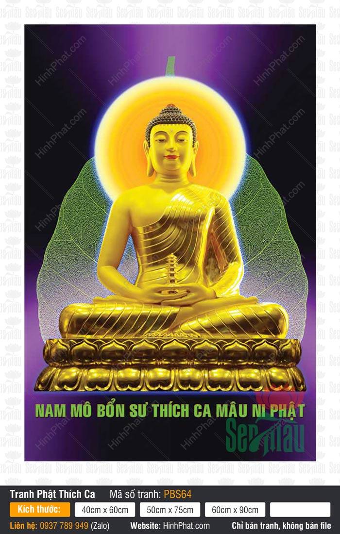 Hình Phật Thích Ca Đẹp PBS64 Hình Phật Thích Ca Đẹp PBS64 tượng vàng tọa sen ngự trước lá bồ đề xanh