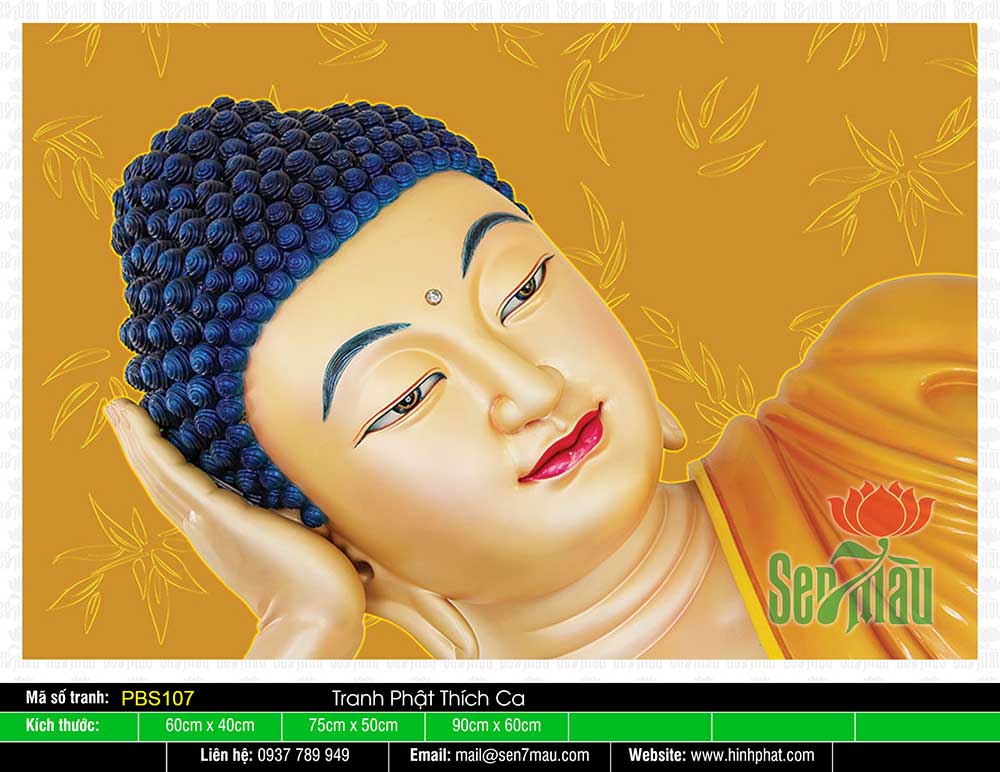 Hình Phật Thích Ca Khổ Lớn PBS107
