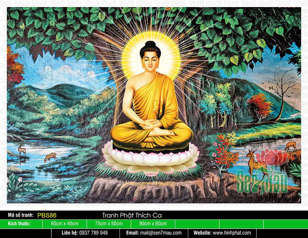 Hình Phật Thích Ca Khổ Lớn PBS86