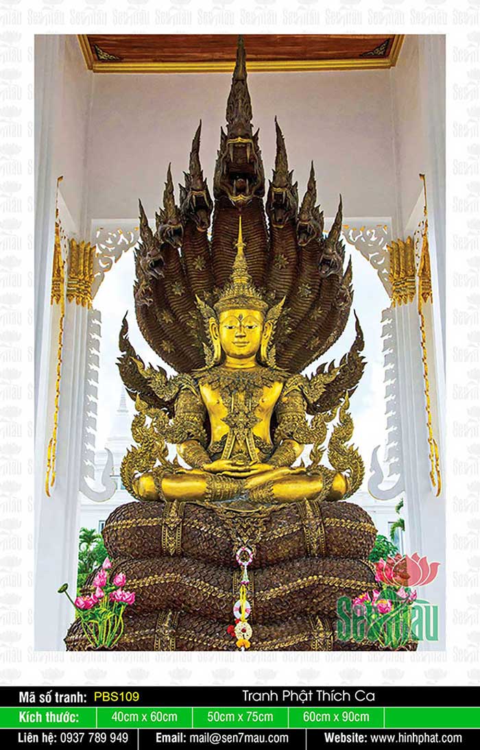 Hình Phật Thích Ca Mâu Ni Đẹp PBS109