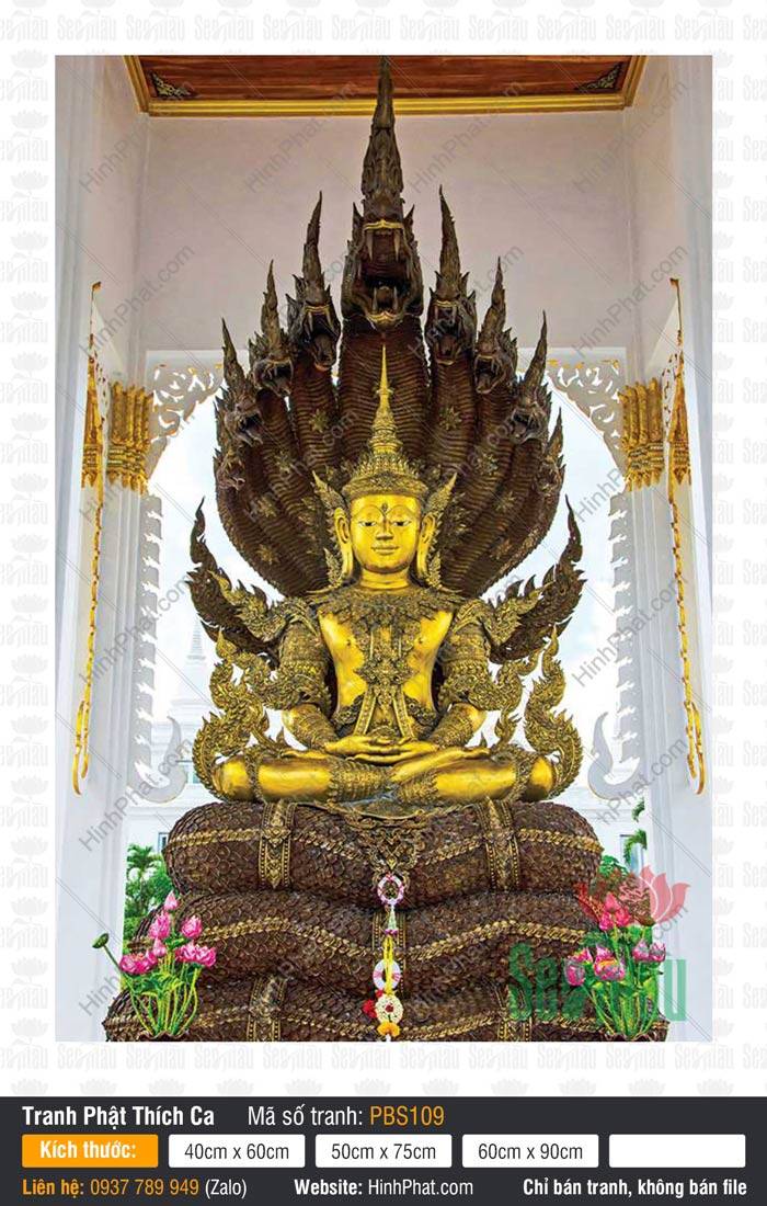 Hình Phật Thích Ca Mâu Ni Đẹp PBS109 Hình Phật Thích Ca Mâu Ni Đẹp PBS109 tượng Phật vàng đội vương miện ngự tòa rắn Naga chín đầu
