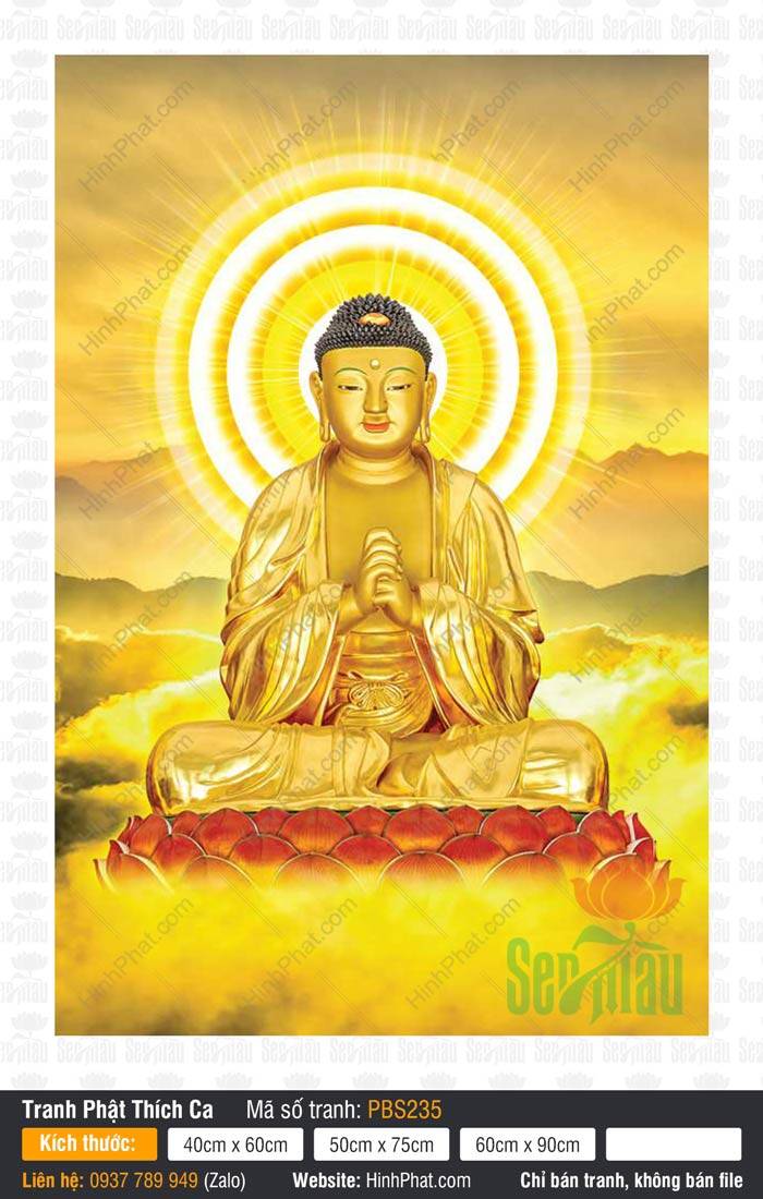 Hình Phật Thích Ca Mâu Ni Đẹp PBS235 Hình Phật Thích Ca Mâu Ni Đẹp PBS235 kim sắc tọa thiền trên đài sen hồng tỏa hào quang rực rỡ