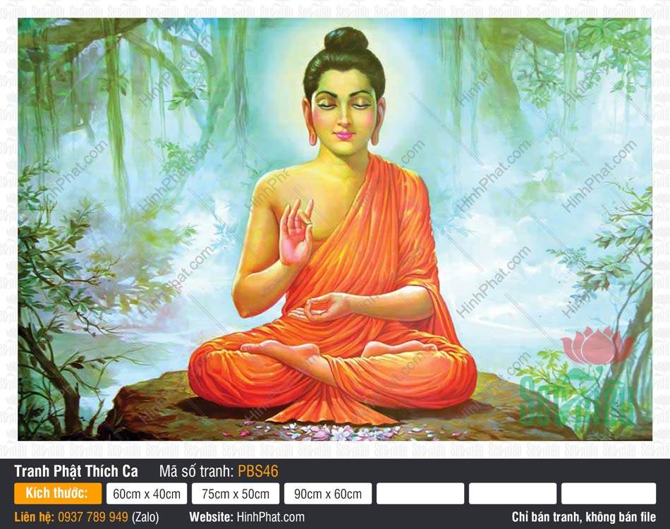 Hình Phật Thích Ca Mâu Ni Đẹp PBS46 Hình Phật Thích Ca Mâu Ni Đẹp PBS46 tọa thiền dưới tán cây bồ đề xanh mướt