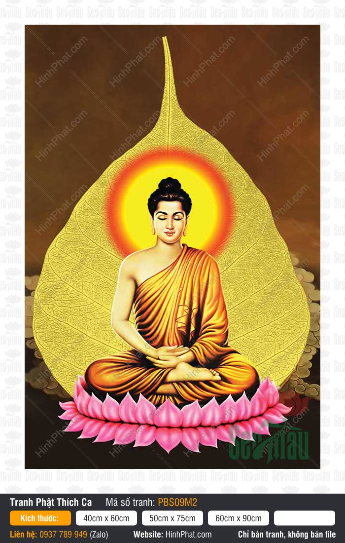 Hình Phật Thích Ca Mâu Ni PBS09M2 Hình Phật Thích Ca Mâu Ni PBS09M2 tọa thiền kiết già trên tòa sen hồng nền lá bồ đề vàng