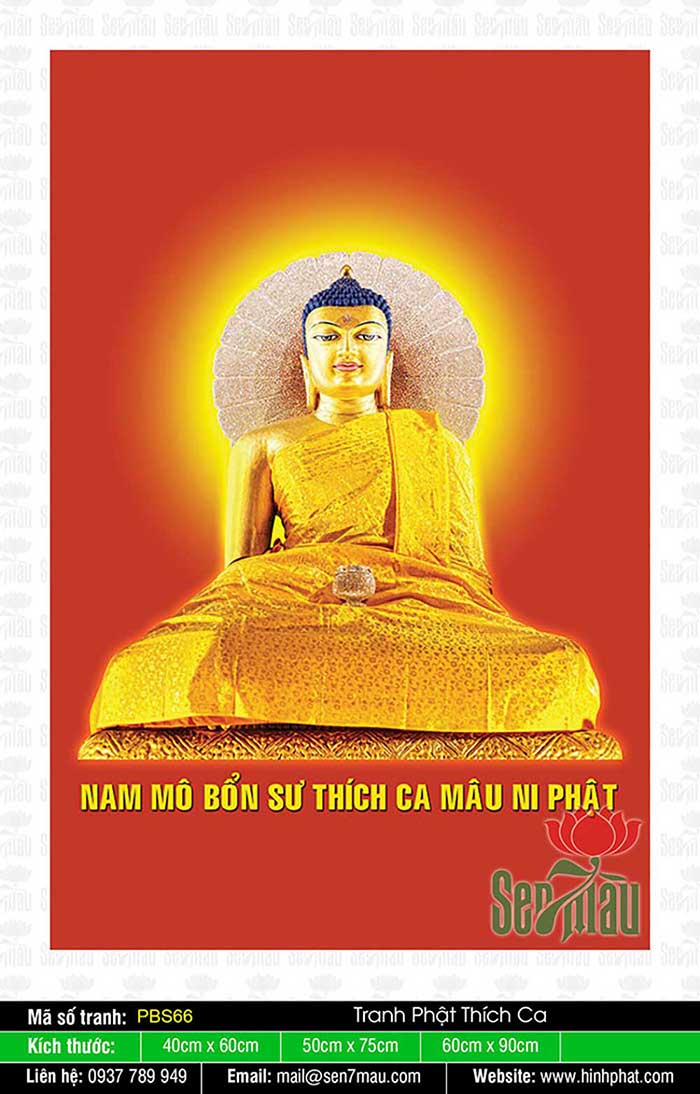 Hình Phật Thích Ca Mâu Ni - PBS66