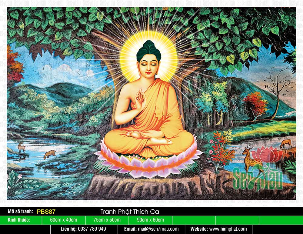 Hình Phật Thích Ca Mâu Ni PBS87