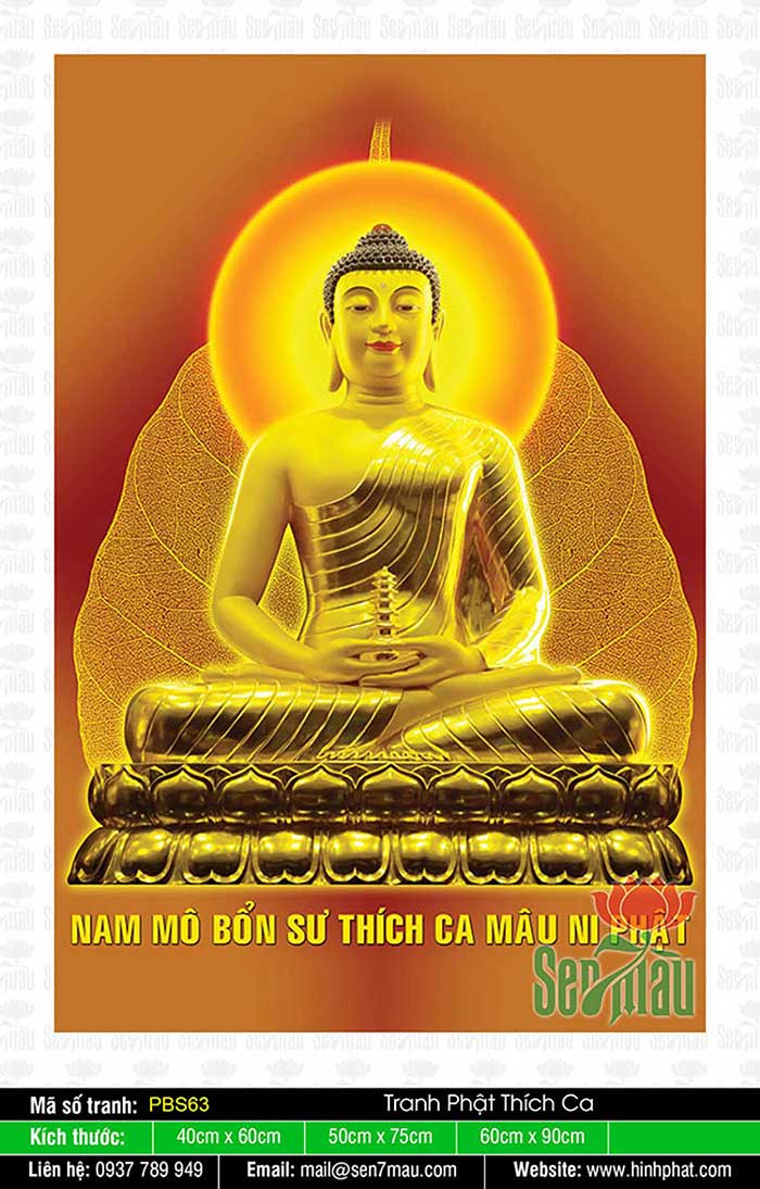 Hình Phật Thích Ca - PBS63