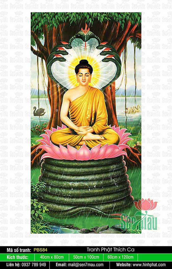 Hình Phật Thích Ca PBS84
