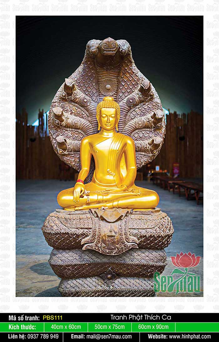 Phật Thích Ca Đẹp PBS111