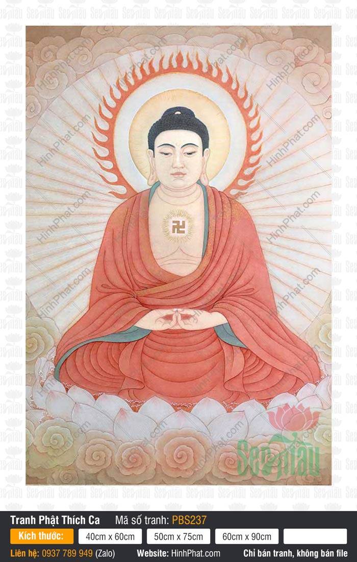 Phật Thích Ca Đẹp PBS237 Phật Thích Ca Đẹp PBS237 tọa thiền trên đài sen trắng khoác y đỏ trang nghiêm rực rỡ