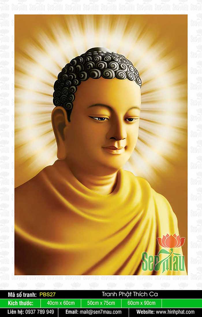 Phật Thích Ca Đẹp - PBS27