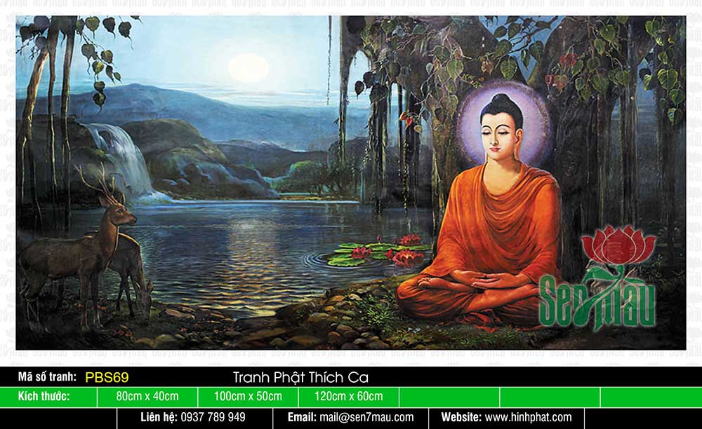 Phật Thích Ca Đẹp PBS69