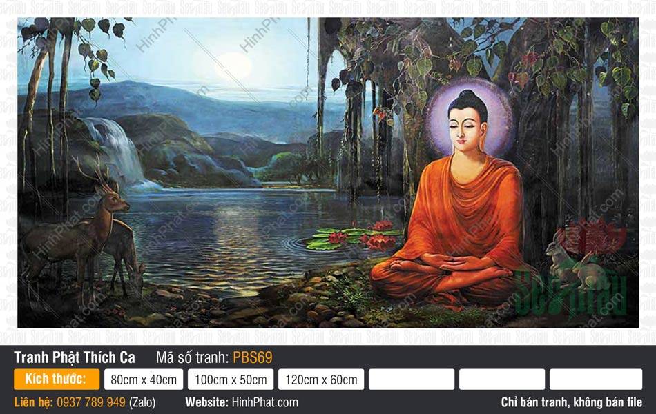 Phật Thích Ca Đẹp PBS69 Hình Phật Thích Ca Đẹp PBS69 tọa thiền dưới gốc bồ đề trong đêm trăng bên hồ nước