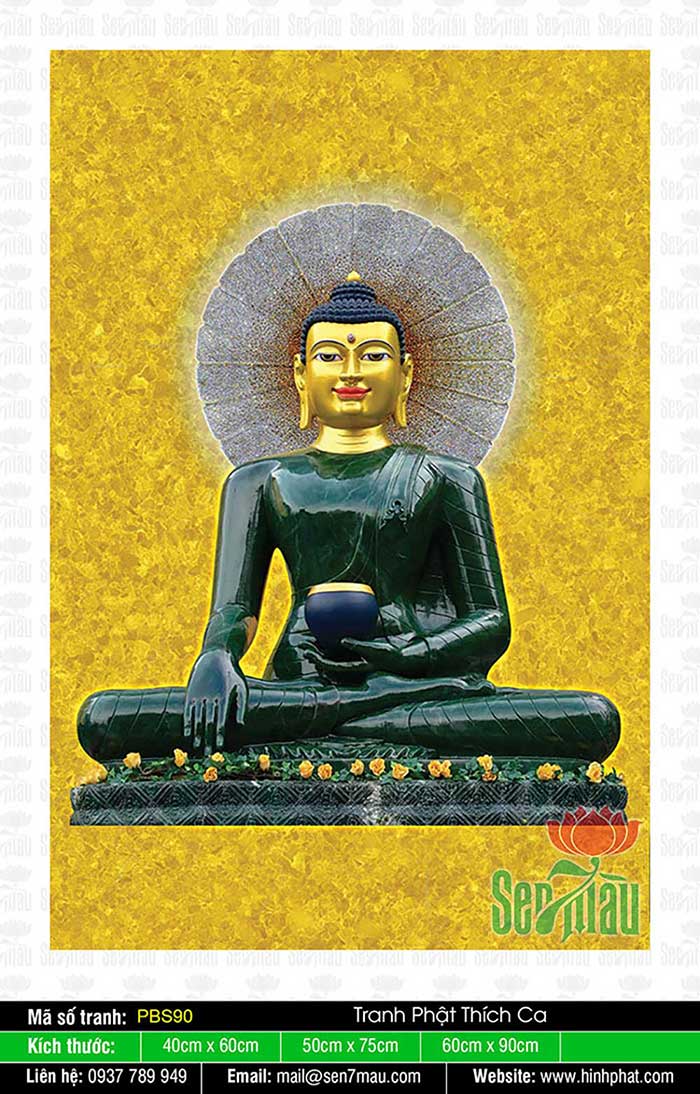 Phật Thích Ca Đẹp PBS90
