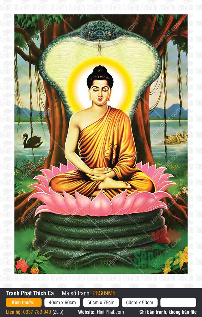 Phật Thích Ca Mâu Ni Đẹp PBS09M5 Phật Thích Ca Mâu Ni Đẹp PBS09M5 tọa thiền trên mình rắn che chở Mucalinda bên hồ nước