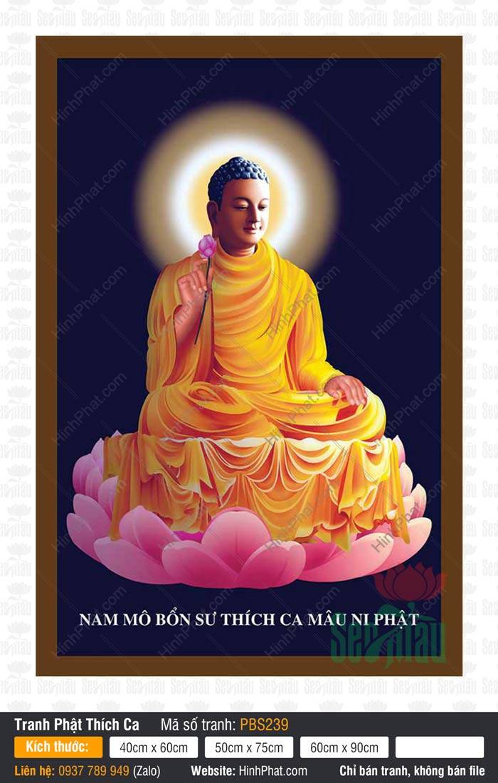 Phật Thích Ca Mâu Ni Đẹp PBS239 Tôn ảnh Phật Thích Ca Mâu Ni Đẹp PBS239 tay cầm nhành sen hồng ngự trên đài liên hoa
