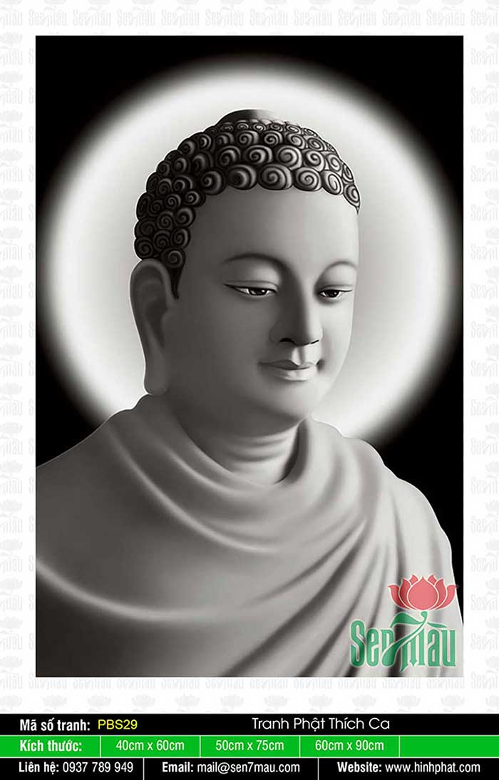 Phật Thích Ca Mâu Ni Đẹp - PBS29