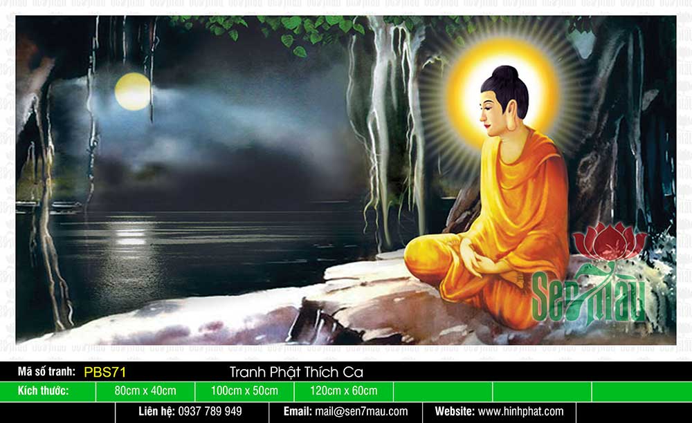 Phật Thích Ca Mâu Ni Đẹp PBS71