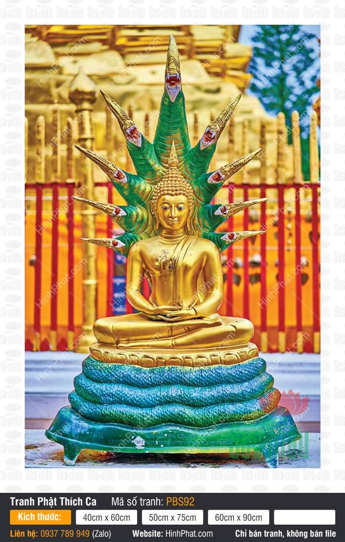 Phật Thích Ca Mâu Ni Đẹp PBS92 Phật Thích Ca Mâu Ni Đẹp PBS92 với hình ảnh tôn tượng vàng ngự dưới chín đầu Rồng