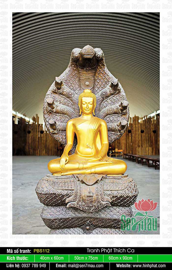 Phật Thích Ca Mâu Ni PBS112
