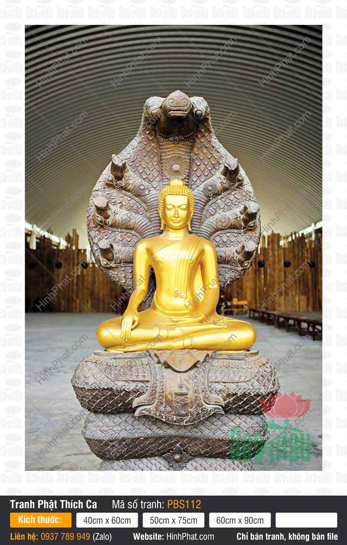 Phật Thích Ca Mâu Ni PBS112 Phật Thích Ca Mâu Ni PBS112 tượng vàng kim ngồi thiền trên tòa rắn Naga bảy đầu che chở
