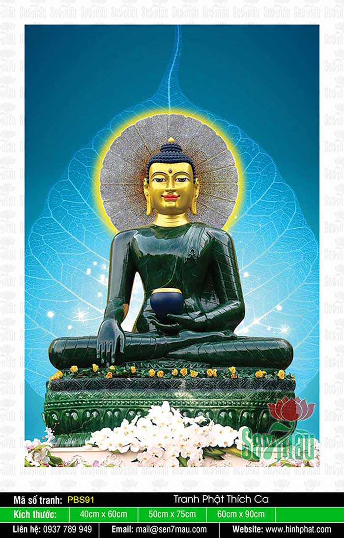 Phật Thích Ca Mâu Ni PBS91