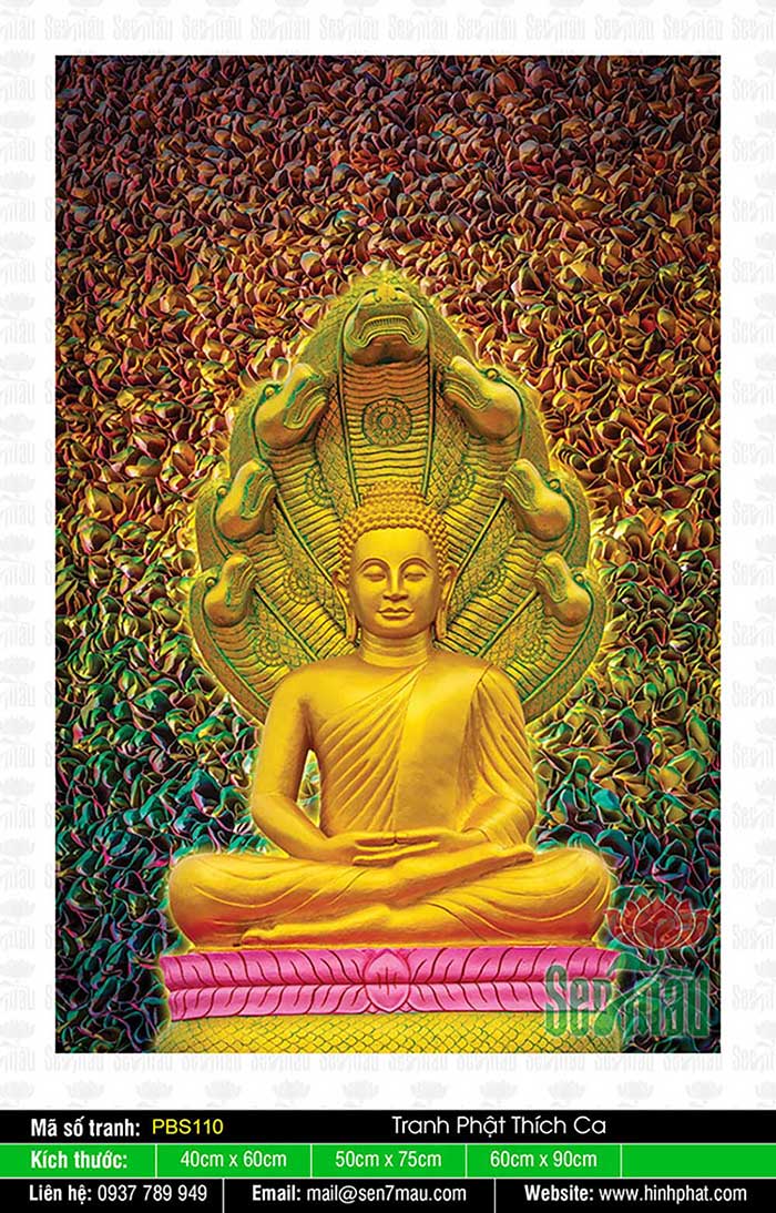 Phật Thích Ca PBS110