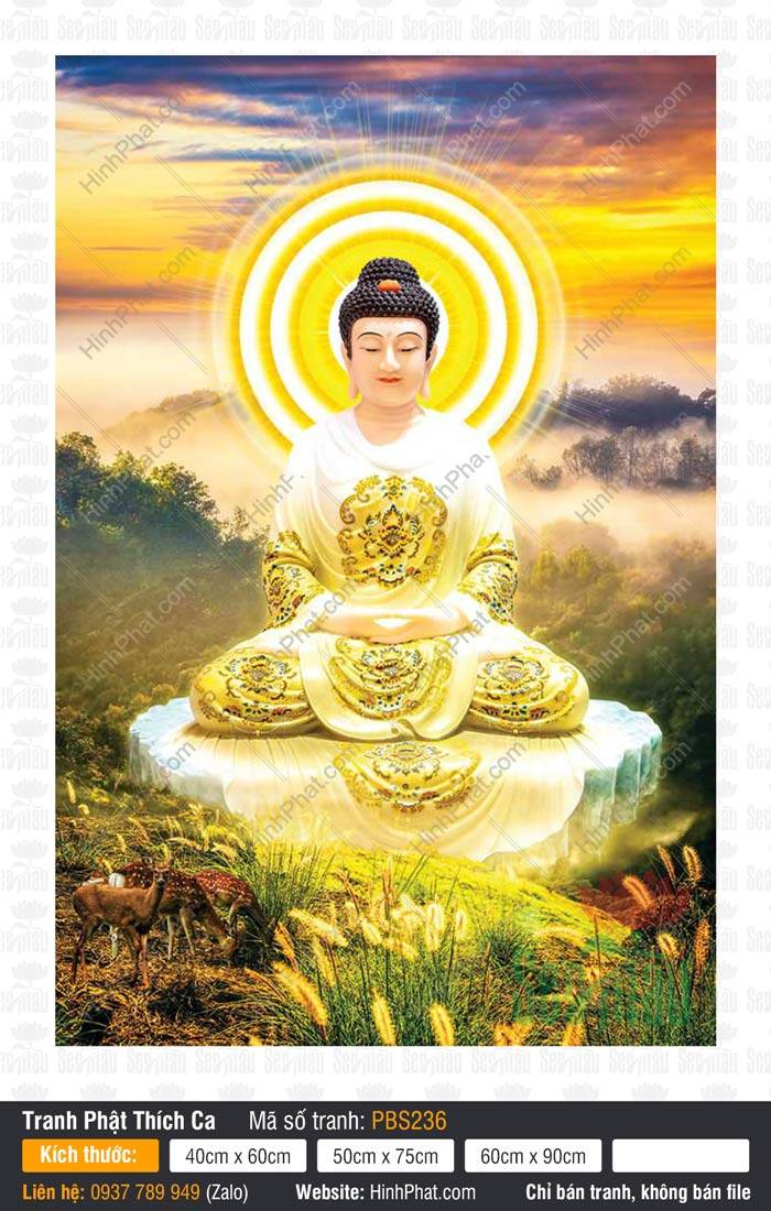 Phật Thích Ca PBS236 Tôn ảnh Phật Thích Ca PBS236 mặc y trắng hoa văn vàng tọa thiền trên đài sen trắng