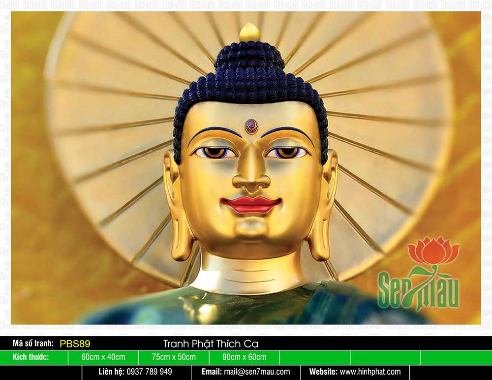 Phật Thích Ca PBS89