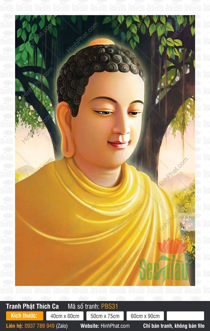 Tranh Phật Thích Ca Đẹp PBS31 Tranh Phật Thích Ca Đẹp PBS31 chân dung Đức Phật khoác y vàng dưới tán bồ đề xanh