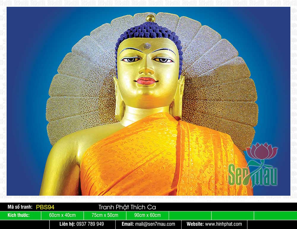 Tranh Phật Thích Ca Đẹp PBS94