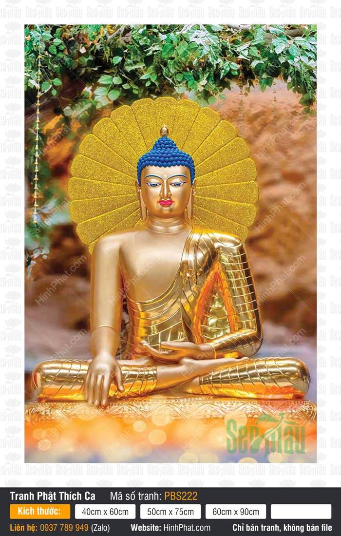 Tranh Phật Thích Ca Mâu Ni Đẹp PBS222 Tranh Phật Thích Ca Mâu Ni Đẹp PBS222 với hình ảnh Đức Phật thân vàng kim ấn xúc địa