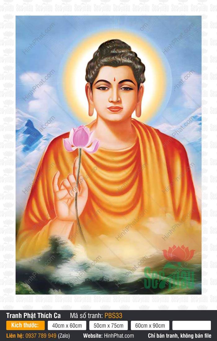 Tranh Phật Thích Ca Mâu Ni Đẹp PBS33 Tôn ảnh Tranh Phật Thích Ca Mâu Ni Đẹp PBS33 cầm đóa sen hồng trên nền mây trắng